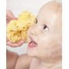 ZUUM BABY Esponja Natural Extra Suave| Para el Cuidado e