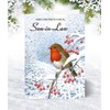 Olivia Samuel Son in Law Christmas Card - Medium Sized