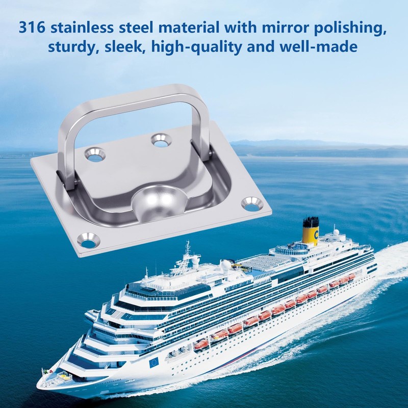 Pyntrax 316 Stainless Steel Flush Lifting Handle and Recessed Door