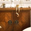 YOUEON 2 Pcs Lion Head Door Knocker, 6 Inch Decorative