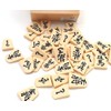 Honda Kasei Shogi Pieces, Plastic Shogi Pieces, Step in P