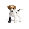 Grande Finale Breathable Dog Cat Protective Socks 100% Softshell -