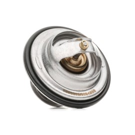 RIDEX Thermostat + Gaskets