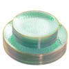Rubtlamp Plastic Green Plates,Green Party Plates, Disposable Green Plates, Clear
