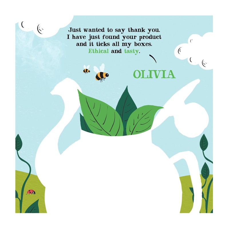 (2 Pack) - Clipper - Pure Green Tea | 80