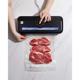 Vacuum Seal Machine, Easy To Use, 4 Modes (Dry, Moist, Normal, Gentle), Compact, Cutter On The Side, Auto & Manual, Exterior Vacuum Option