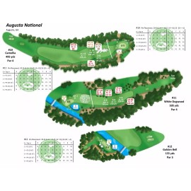 DICE NUTZ PRO GOLF Board Game ~ Augusta Masters Edition w/ 2023 PGA Golfer Cards