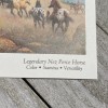 Orren Mixer The Appaloosa Horse Postcard Blank Back 4.25 x