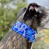 Extra Soft Martingale Dog Collar and Leash Set for Greyhound