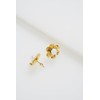 Ted Baker London Dara Daisy Pearl Stud Earrings for Women