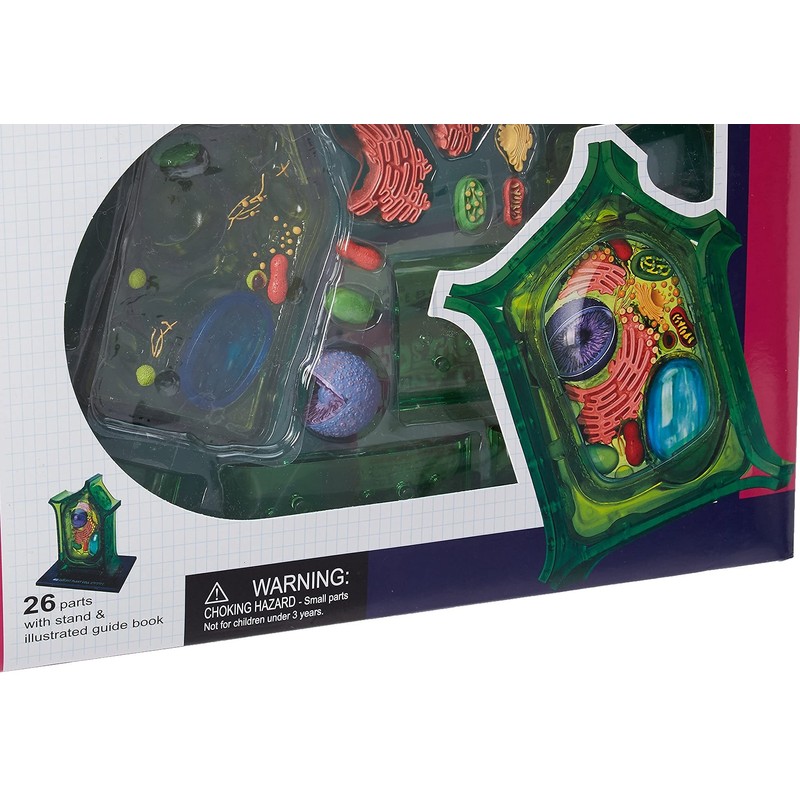 Famemaster 4D-Science Plant Cell Anatomy Model