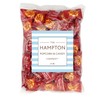 Hot Zotz Fiery Cinnamon Fizz, 1lb Bulk Bag (Approx. 90