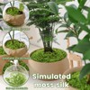 Muschio Finto per Decorazioni 100g, Muschio Stabilizzato Nylon, Artificiale Muschio