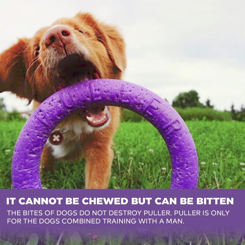 PULLER Midi Interactive Dog Toy Fitness Tool Set, purple