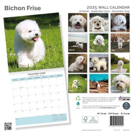 Baker and Bray Bichon Frise Calendar 2025, Large Square Wall Calendar, 16 Month, Bichon Frise Gift Dog Calendar.