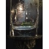 Johnnie Walker Vintage JOHNNIE WALKER Walking Man Logo Square Base