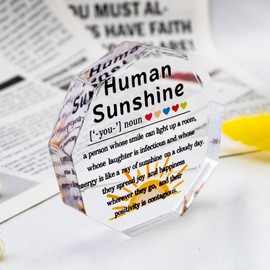 Human Sunshine Sign Inspirational Gifts Thank You Gifts For Teacher Appreciation Gifts For Coworkers Sunshine Gifts Cubicle Decorations For Women Christmas Stocking Stuffers