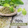 Árbora Aceite de Orégano 70% carvacrol con oliva para consumo
