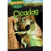 Cicadas (Dig Deep! Bugs That Live Underground)