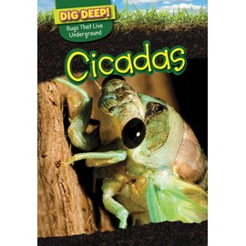 Cicadas (Dig Deep! Bugs That Live Underground)