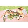 sanko- Plastic Lunch Boxes Family Size Rio Pack L Shape