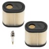 Powtol 36905 Air Filter for Toro Recycler 22 GTS 6.5HP