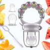 BPA-Free Baby Nibbler | Complete Kit 1 Purple Nibbler +