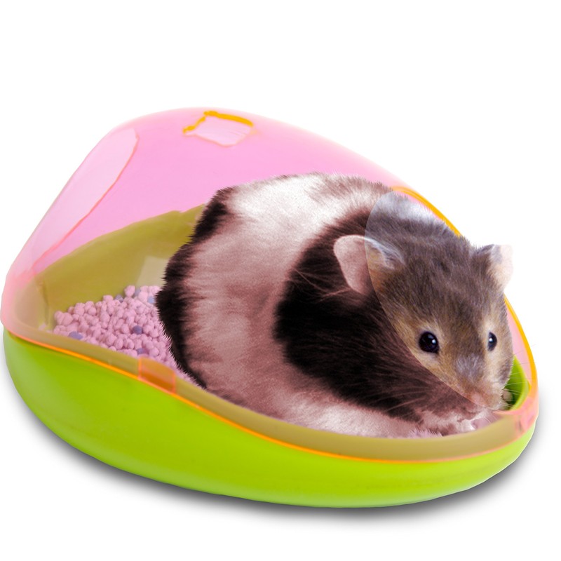 Ware Manufacturing Critter Potty/Dust bath Kit for Small Animals -