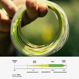 RIO Products Elite Gold XP Fly Fishing Line - Extra Power and Versatility - Smooth Casting Fly Line - WF7F