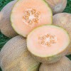 JQBay Cantaloupe Melon Seeds – 25 Seeds Non-GMO Heirloom Variety