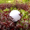 Green Blue Solar LED Light Garden Freestanding Lamp Ball Round