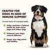 Liquid-Vet Immune Support for Dogs – Seasonal Wellness, Antioxidant Protection