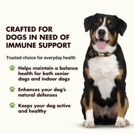 Liquid-Vet Immune Support for Dogs – Seasonal Wellness, Antioxidant Protection & Gut Health – Inulin, Beta-Glucan & Omega-3s - Made for Picky Eaters