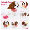 Walking Dog Toy Interactive Dog Toy Leash Plush Pets Puppy