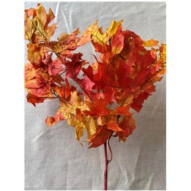 Preserved Fall Oak Leaves l Dried Autumn Leaves for Crafts and Decoration | Preserved Oak Leaves l Dried Arrangement for Home Decor (Autumn)