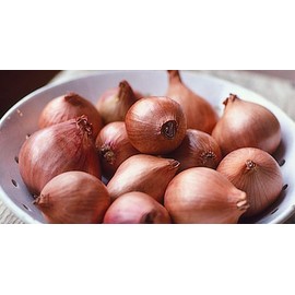 Generic Fresh Shallots, USA Grown, Non-GMO, Allium schoenoprasum (Sweet Onion), Bulk (15 Pounds)