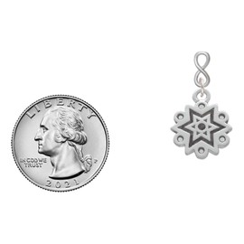 Delight Jewelry Silvertone Antiqued Snowflake Silvertone Infinity Post Earrings