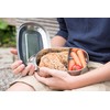 Brotzeit Duo Lunch Box with Stainless Steel Dividers 100% BPA