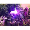 Miracle LED Plant Life Cycle LED Grow Light Kit with