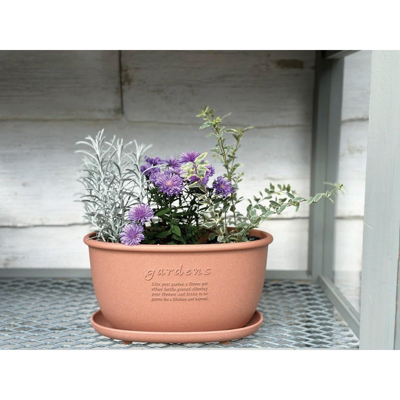 Hachiman Kasei Hachiman Gardens Arble 245995 Eco Saucer, Oval Type,