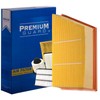 Filtro de aire de motor PG PA9941 | Compatible con