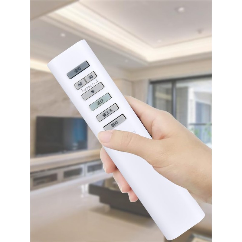 Lighting Remote Control for Maruzen MD1 Compatible
