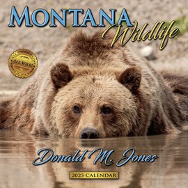 Montana Wildlife 2025 Wall Calendar | 12” x 24” Open | 12 Month | Calendar 2025