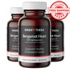 BioMag