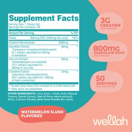 Wellah Pump-It-Up Creatine (50 Servings, Watermelon Slush) - Creatine Monohydrate with Dandelion, Uva Ursi, & Cranberry Extract