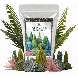 𝐁𝐄𝐒𝐓𝐒𝐄𝐋𝐋𝐄𝐑 Premium 8-4-8 Acidic Fertilizer for Evergreens – All-Purpose Plant Food for Outdoor Trees and Shrubs, Azaleas, Magnolias, Pines & Arborvitae – Slow-Release Formula (2 Quarts)