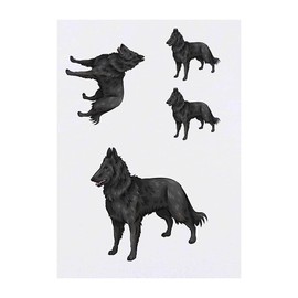 4 x 'Belgian Shepherd Dog' Temporary Tattoos - Water Resistant, Skin-Safe, Non-Toxic Transfers, Mixed Sizes (TO00043603)