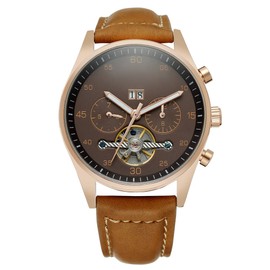 FORSINING Calendar Automatic ​Mechanical Movement Causal Men Wristwatch(Brown)