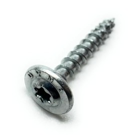 DynaPlus Back Wall Screw, Galvanised, Round-Head TX (3.0 x 20 mm)