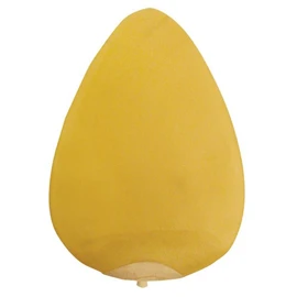 EVERLAST DOUBLE SPEED BAG BLADDER ORANGE UNIQUE SIZE